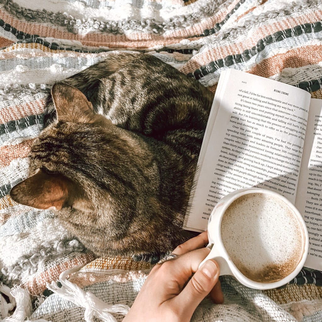 Blanket, cat, open book and delicious homemade coffee for my teacher morning routine