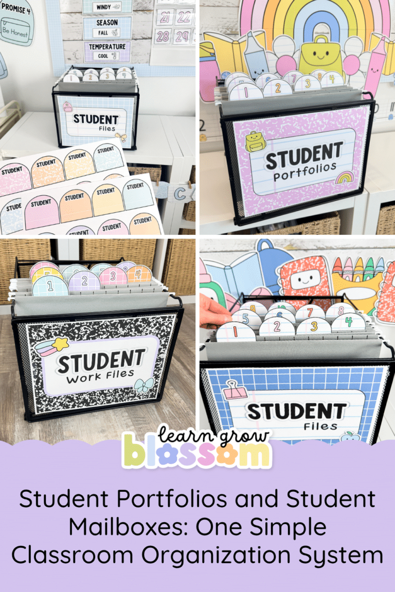 Student Portfolios and Student Mailboxes for classroom organization